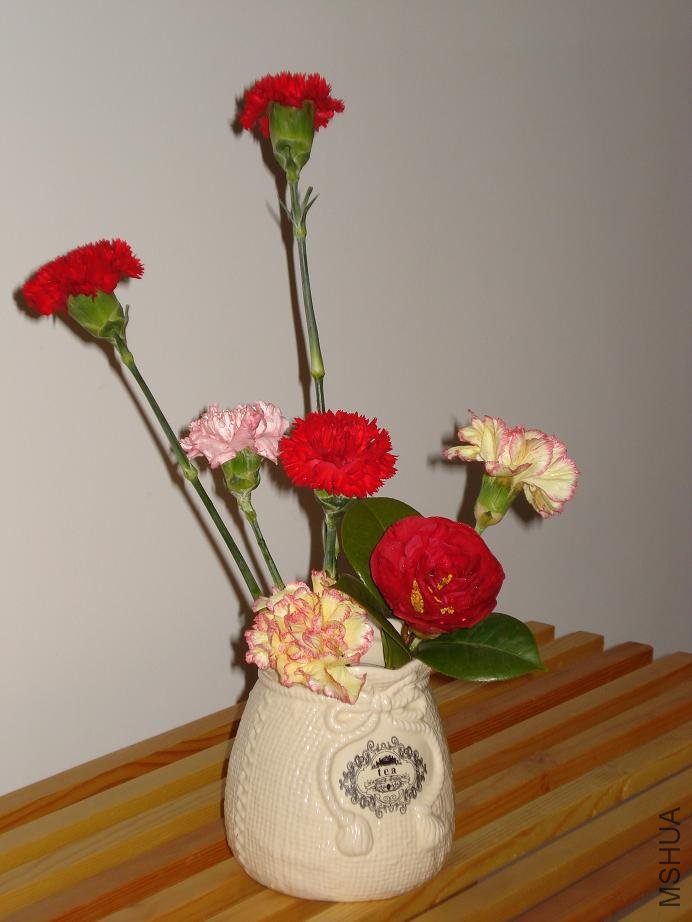 DSC03225.JPG