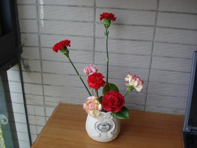 DSC03244.JPG