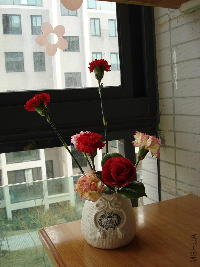 DSC03246.JPG
