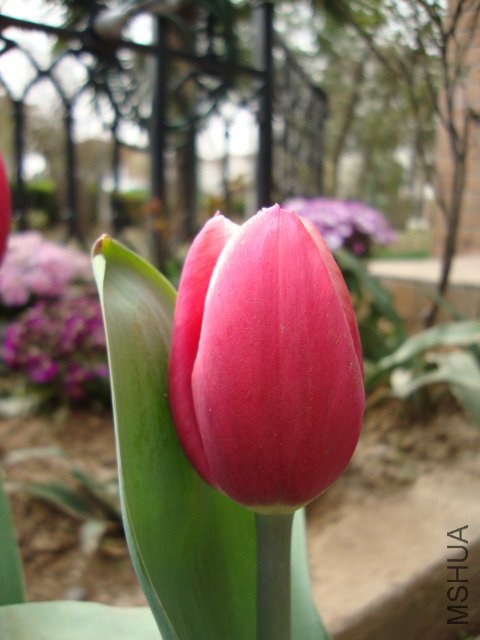 DSC00190.JPG