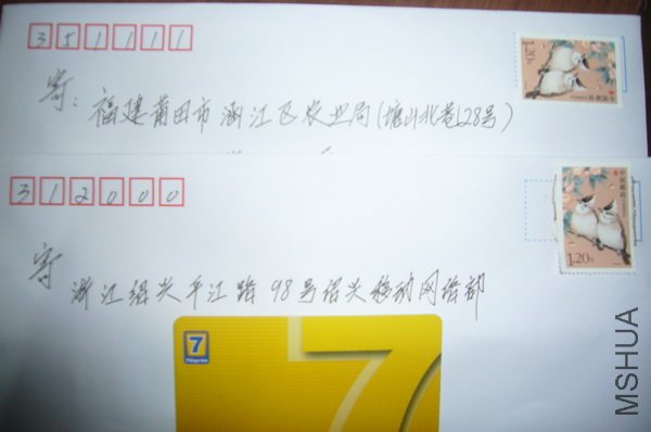 123.JPG