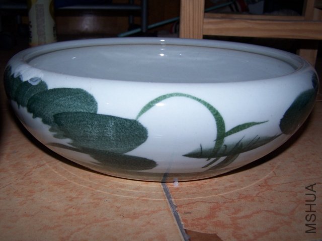 TB��ĸ� ǳ�˵�