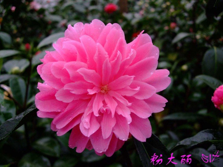 �۴���  10-3-22f (2).jpg