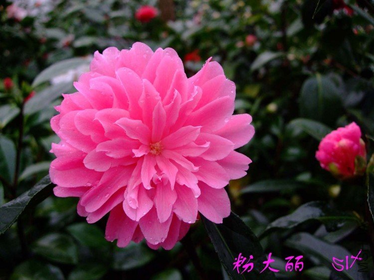 �۴���  10-3-22f(1).jpg