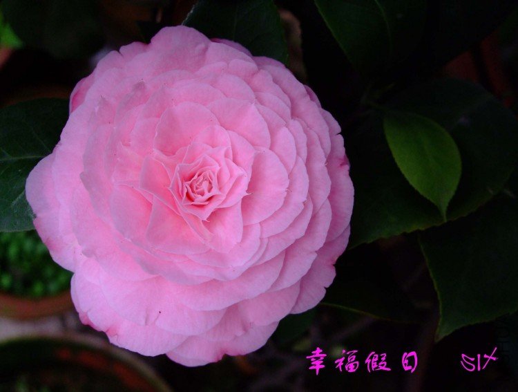 �Ҹ����� 10-3-22f.jpg