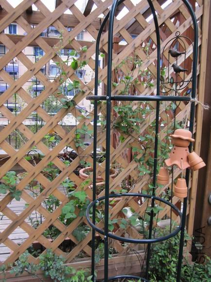 �� ��������������.JPG