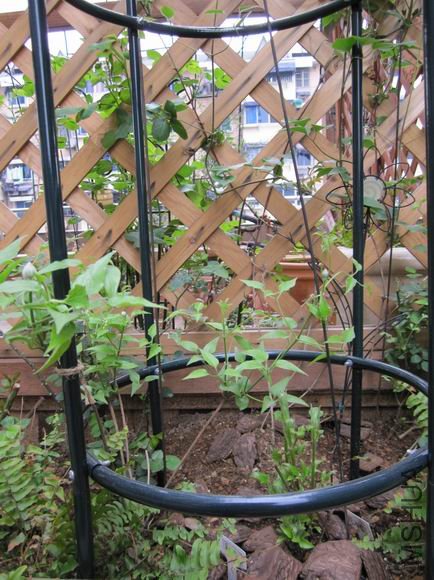 �� ��������.JPG