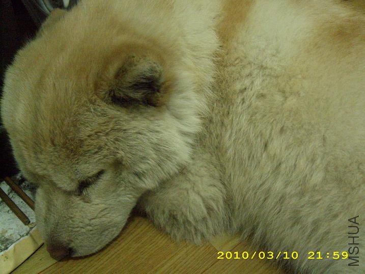 ���ǹ��� �ٺ�