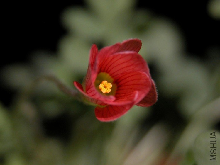 DSCN1714.jpg
