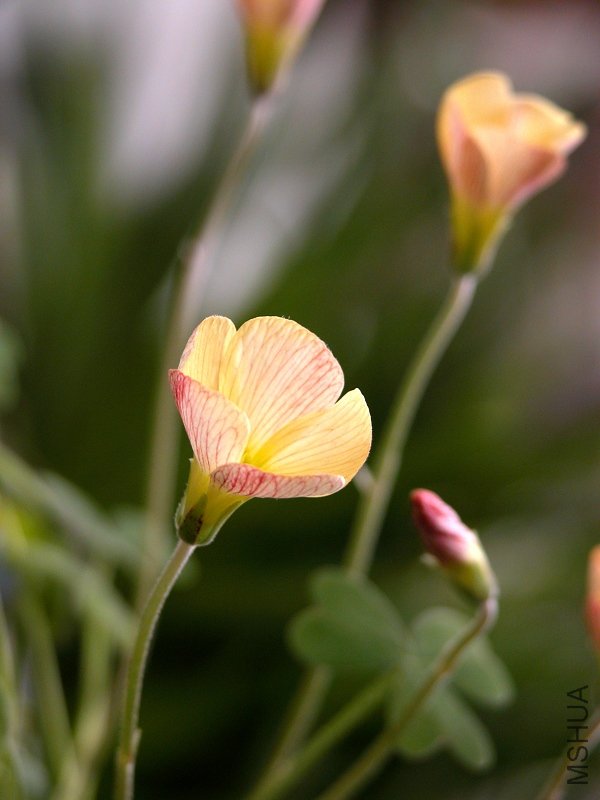 DSCN1677.jpg