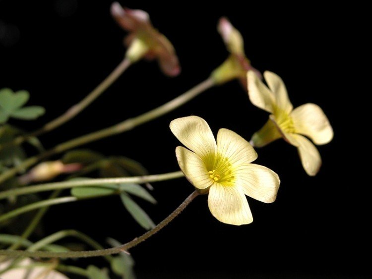 DSCN1732.jpg