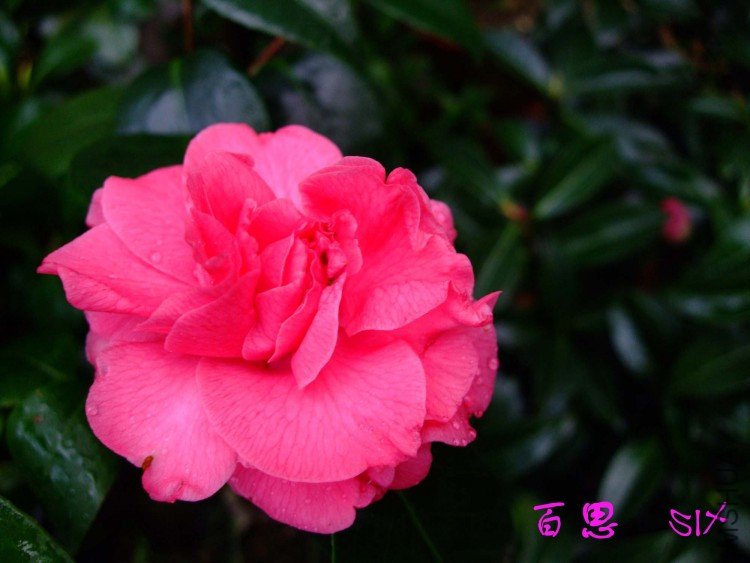 ��˼  10-3-22f(1).jpg