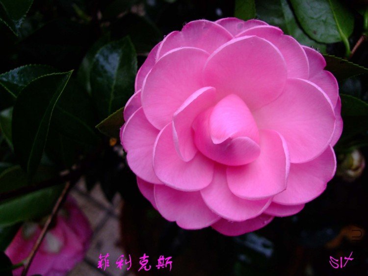 ������˹ 10-3-22f (3).jpg