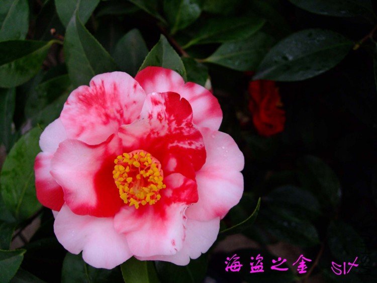 ����֮�� 10-3-22f (3).jpg