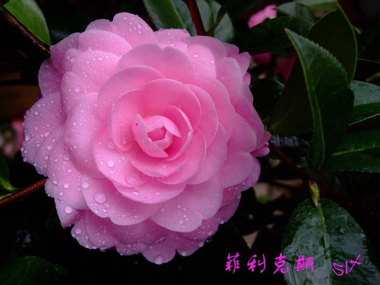 ������˹ 10-3-22f(1).jpg