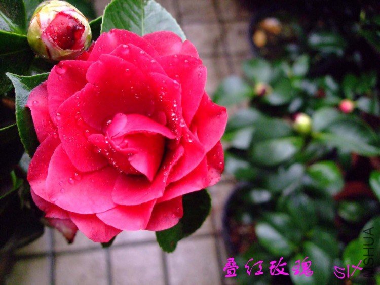 ����õ�� 10-3-22f(1).jpg