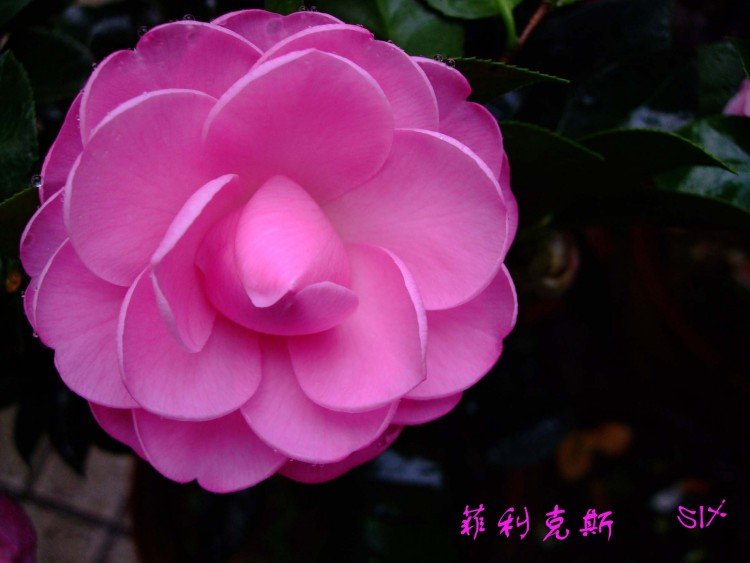 ������˹ 10-3-22f (2).jpg