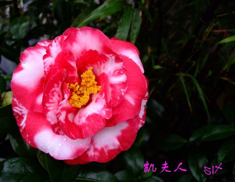 ������  10-3-22f(1).jpg