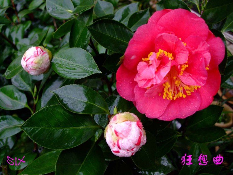 ������ 10-3-22f1.jpg