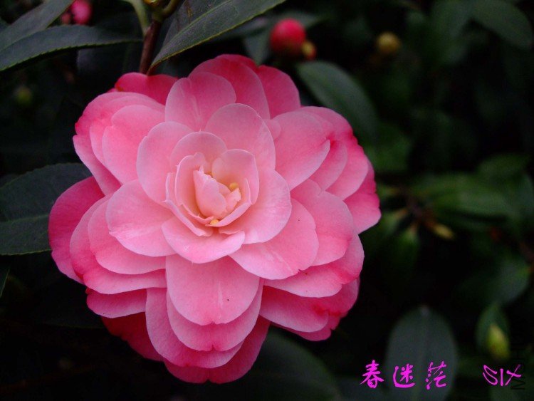 ����ã 10-3-22f(1).jpg