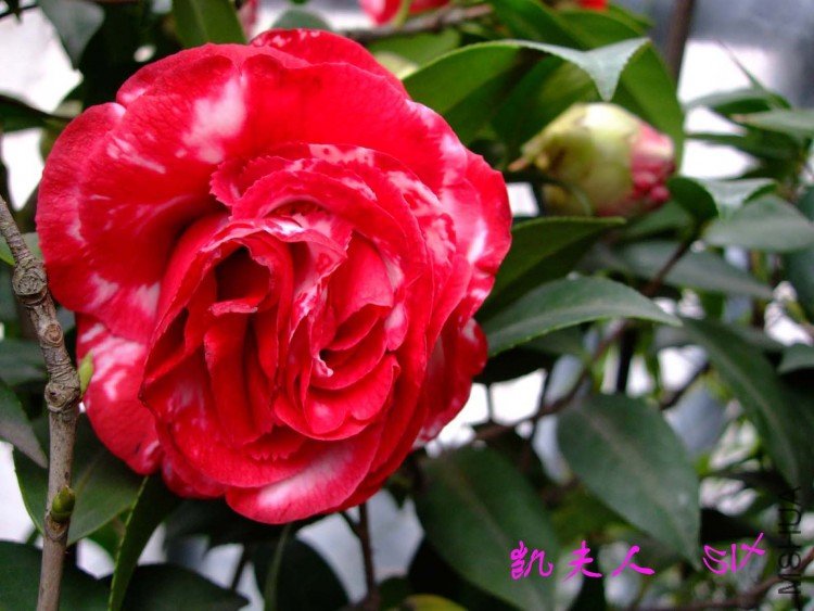 ������ 10-3-22f (2).jpg