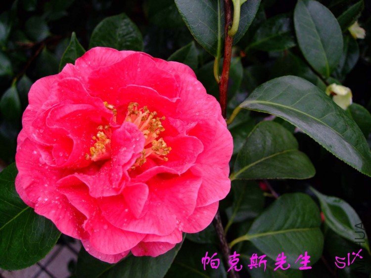 ����˹ 10-3-22f(1).jpg