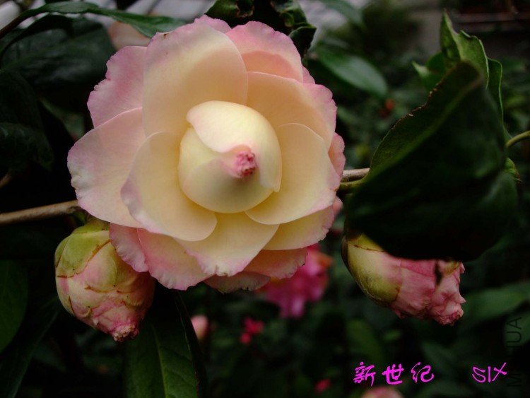 ������ 10-3-22f (2).jpg