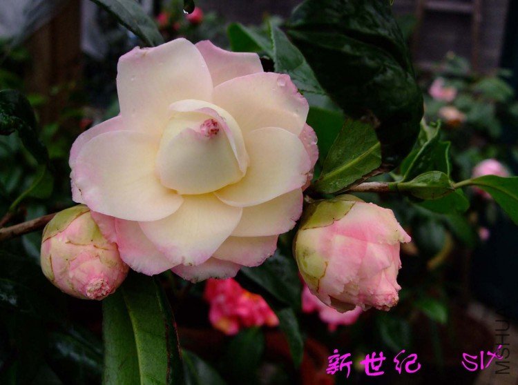 ������ 10-3-22f.jpg