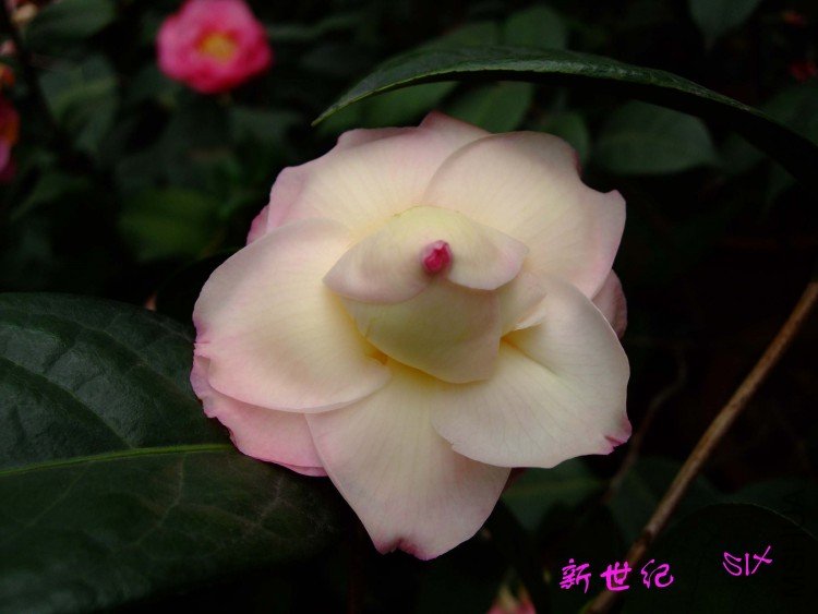 ������ 10-3-22f (1).jpg