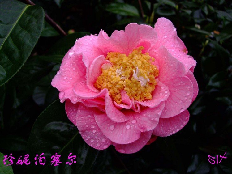 ���ݲ�����  10-3-22f(1).jpg