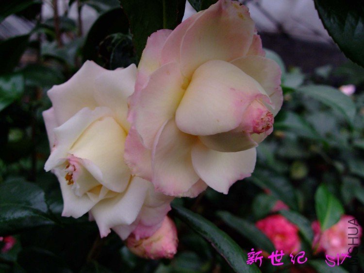 ������ 10-3-23f (12).jpg