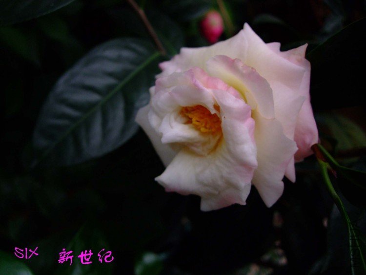 ������ 10-3-23f(1).jpg