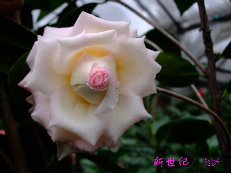 ������ 10-3-23f (11).jpg