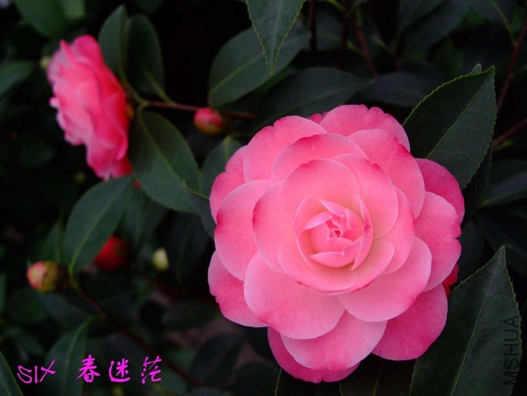 ����ã 10-3-23f (2).jpg