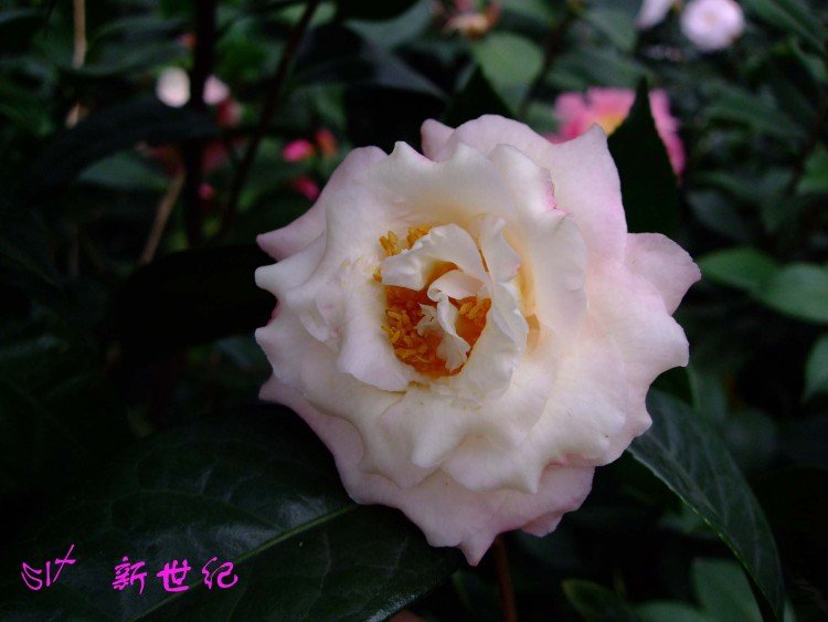 ������ 10-3-23f (10).jpg