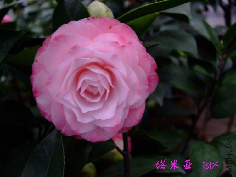 ������ 10-3-23f (2).jpg