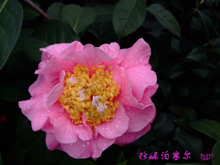 ���ݲ�����  10-3-23f(1).jpg