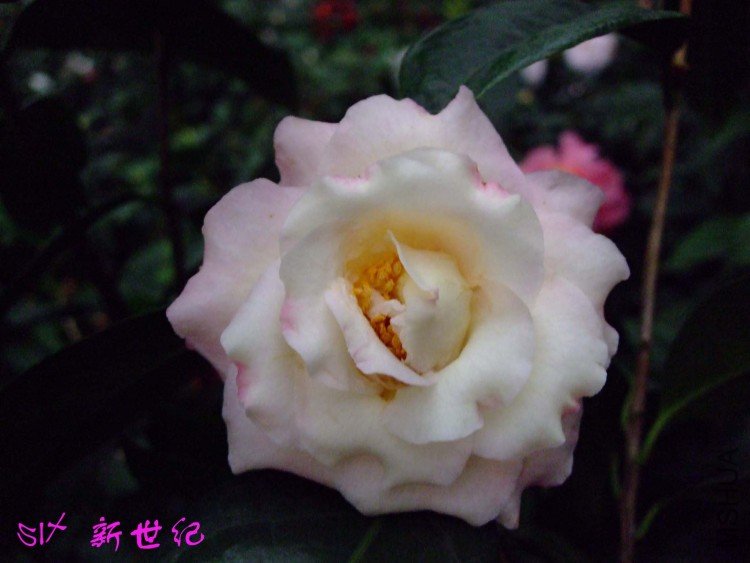 ������ 10-3-23f (9).jpg