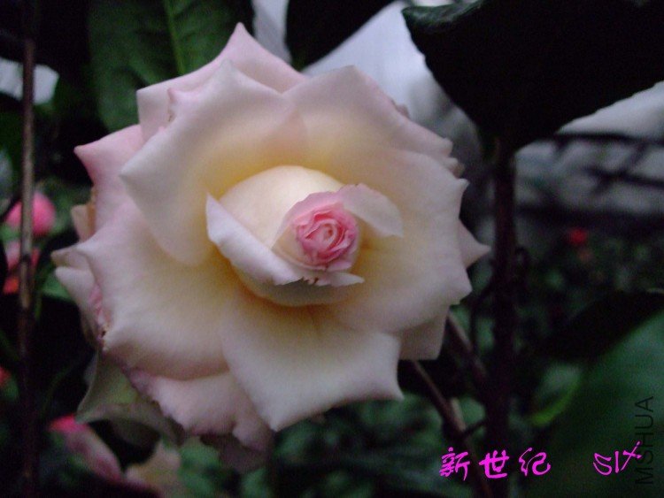 ������ 10-3-23f (3).jpg