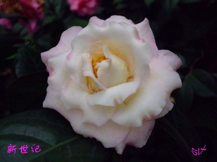 ������ 10-3-23f (2).jpg