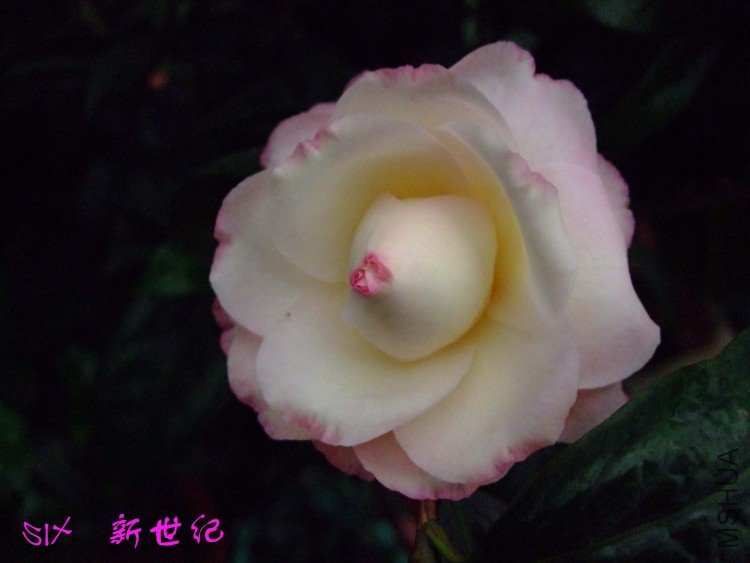 ������ 10-3-23f (8).jpg