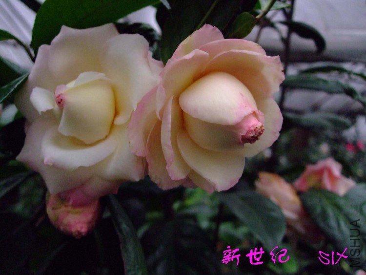 ������ 10-3-23f (4).jpg