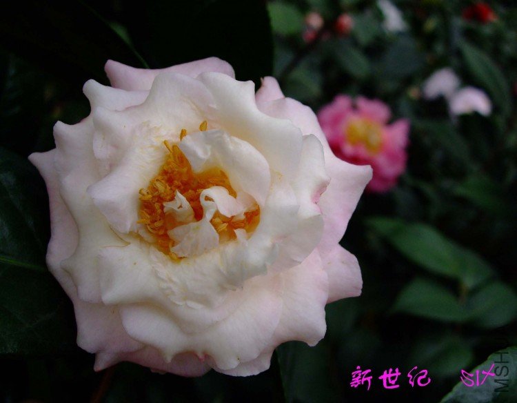 ������ 10-3-23f (13).jpg