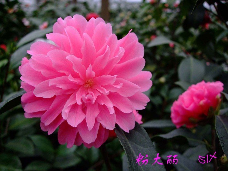 �۴���  10-3-23f(1).jpg