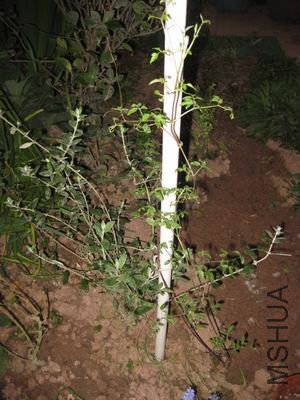 ������С ��ת ��Ƭ 235.jpg