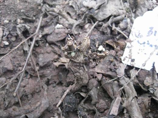 ������º󣬾ͷ�ѿ��