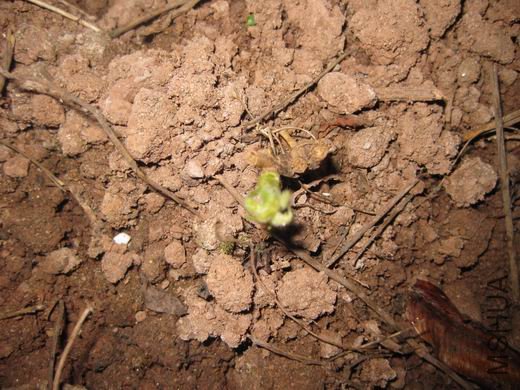 ��������һ��