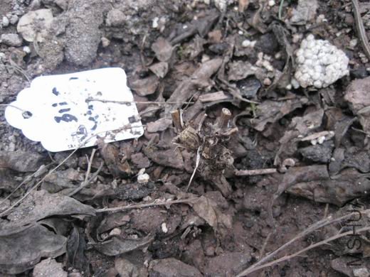 �յ�ʱ�����������