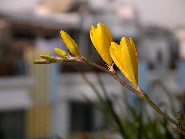 DSCN1665.jpg