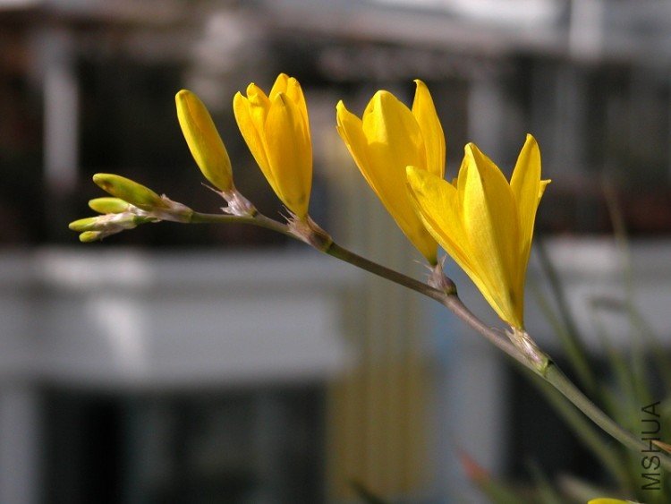 DSCN1681.jpg